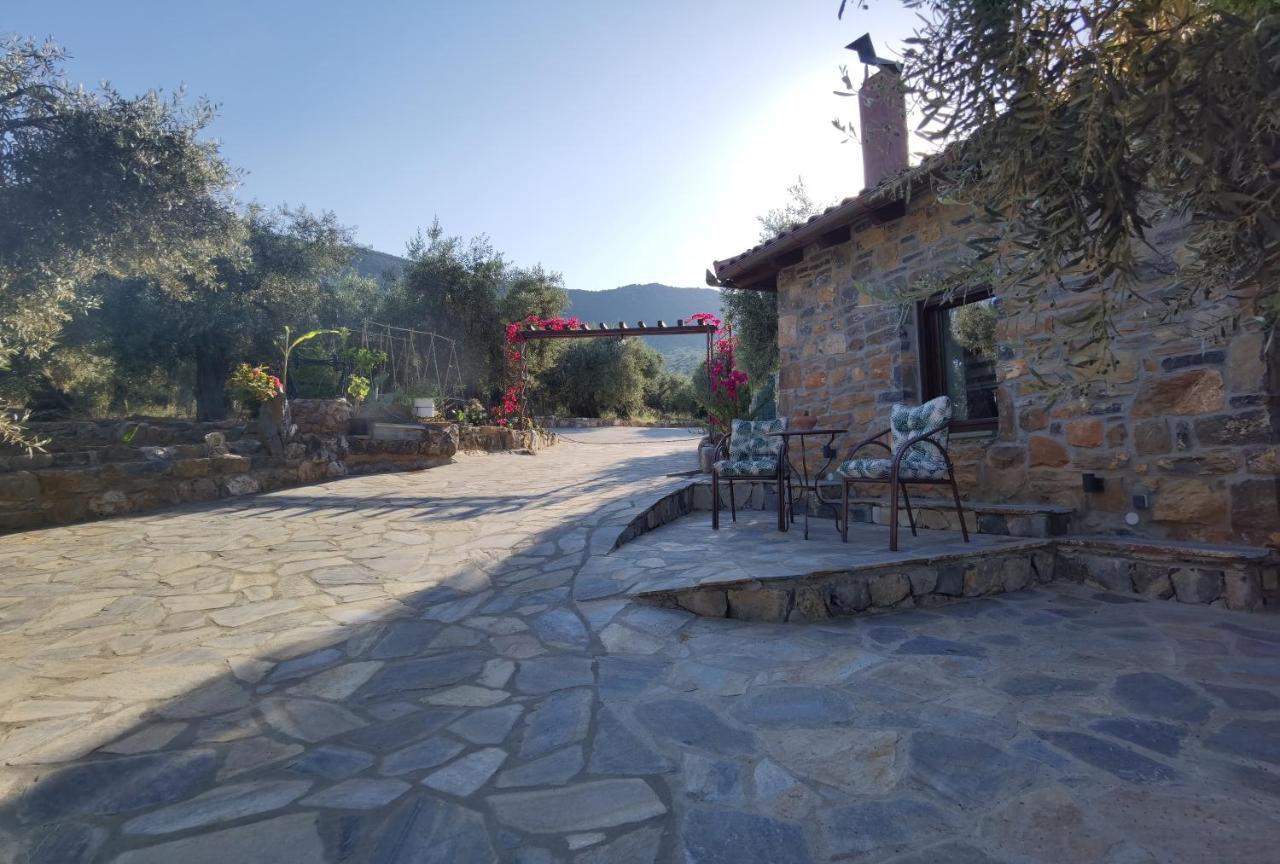 Elaion Thea2-Nies Villa Sourpi Exterior photo