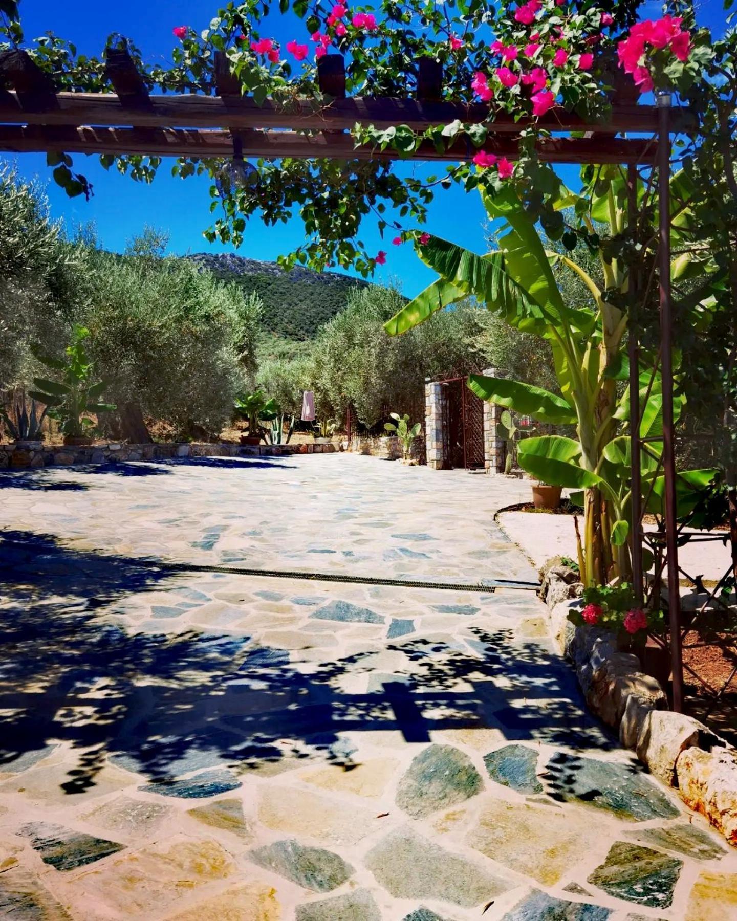 Elaion Thea2-Nies Villa Sourpi Exterior photo
