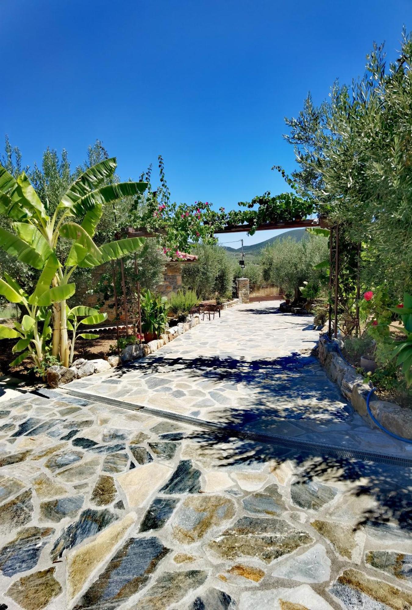 Elaion Thea2-Nies Villa Sourpi Exterior photo
